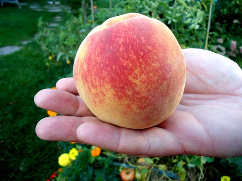 mega peach