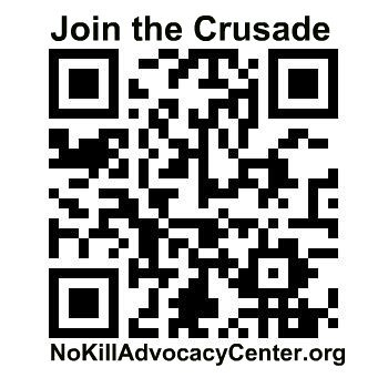 NoKillAdvocacyCenter.org by MattsLens