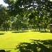 あいかわ公園の芝生広場の写真