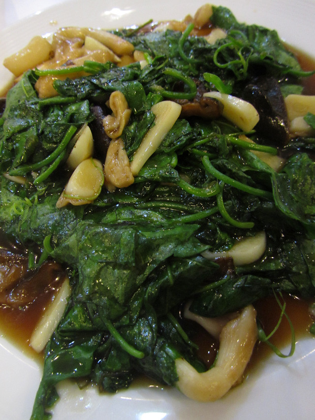 Pad pak tamlung nam man hoy (Ivy gourd leaves with oyster sauce)