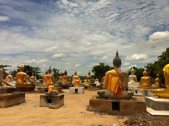 So Many Buddha Statue 1