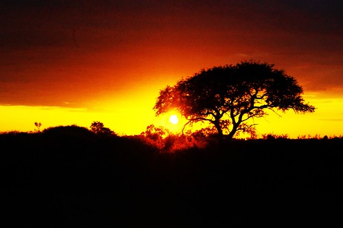 The beautiful African sunrise captured on my ride from Gaborone to Maun in Botswana, Shannon Ireland, University of Botswana, Spring 2011.