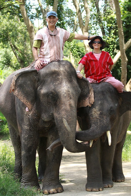 ¡TAILANDIA EN CHANCLETAS! - Blogs de Tailandia - Patara Elephant Farm (27)