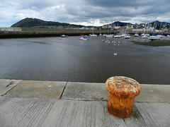 A cloudy Thursday afternoon in Bray harbour