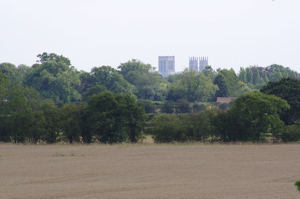 Wheat & Distant Minster