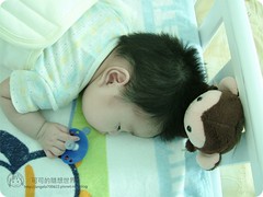 嬰兒照顧 寶寶睡覺 布偶 奶嘴