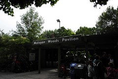Malaysian Woods Pavilion