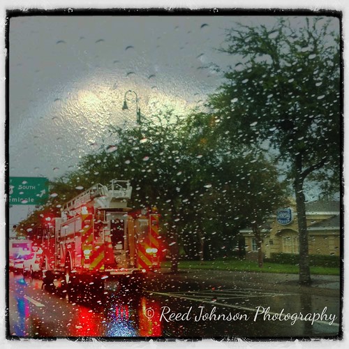 Rainy Days by bichonphoto