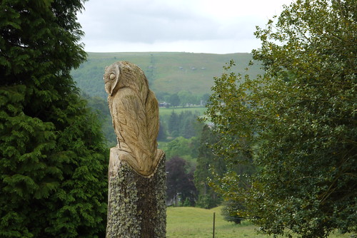 Cragside Owl Sculpture