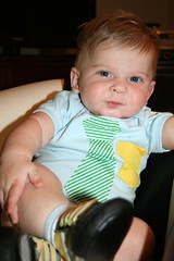 Ezra, 6 months old