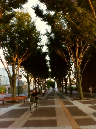 Girl cycling past trees at Tsukuba Center