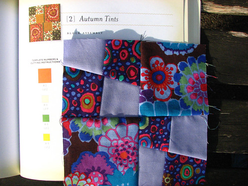 Autumn Tints with book