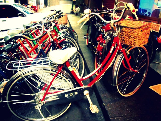 Vintage Bicycle (7)