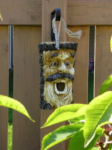 A manly birdhouse     