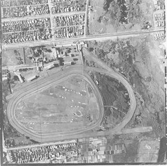 Moorefield Race Course 1954