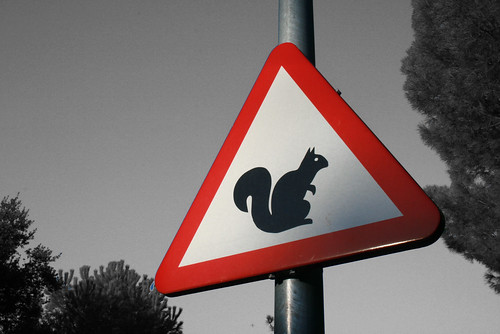Warning! Dangerous....errrr.. Squirrels!?