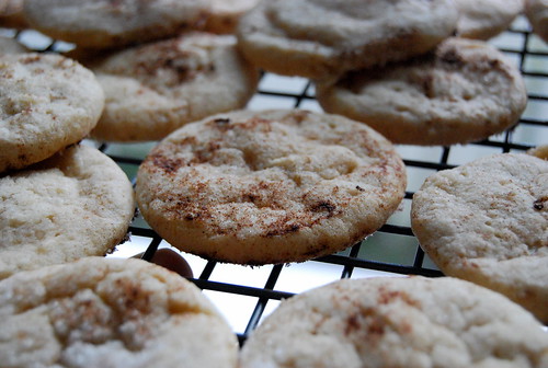 Cinnamon-Nut Spice Cookies