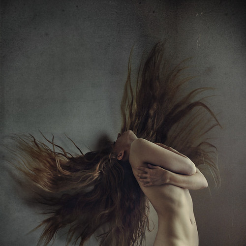 flight of the trapped by brookeshaden