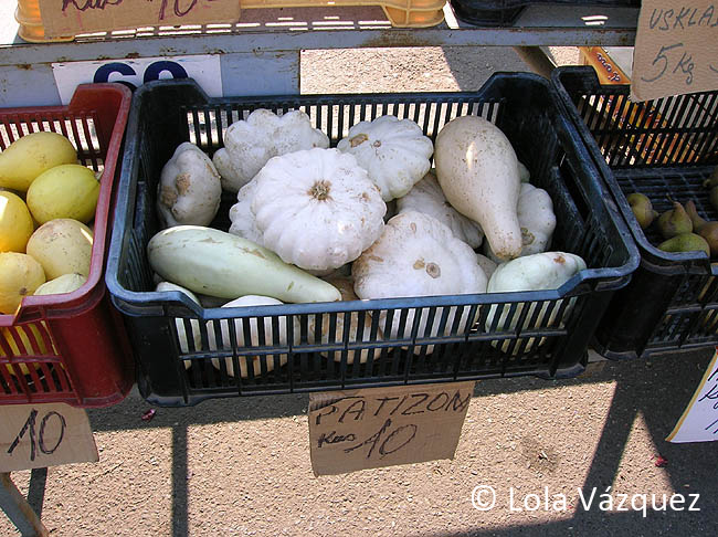 Patizon, una variedad de calabacín. © Lola Vázquez, 2005