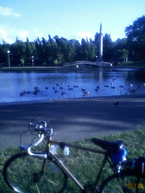 Pond, West Park