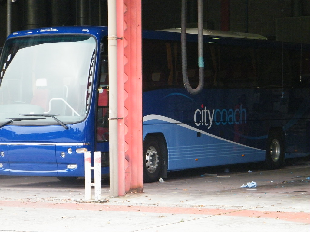 New Plymouth Citycoach Livery_