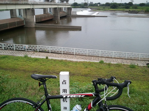 多摩川サイクリングコース折り返し地点の中野島に到着。