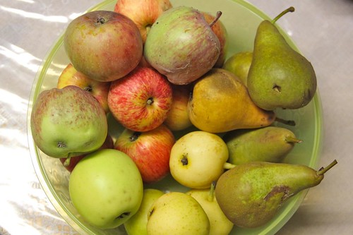 Harvested Apples, Pears and Asian Pears