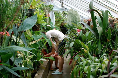 Exploring the Smith Greenhouse