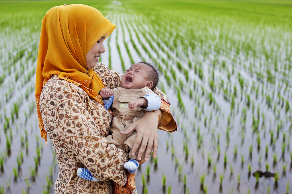 Newborn Photography | Baby-Baby, Please Don't Cry | Sekinchan Paddy Field | Selangor