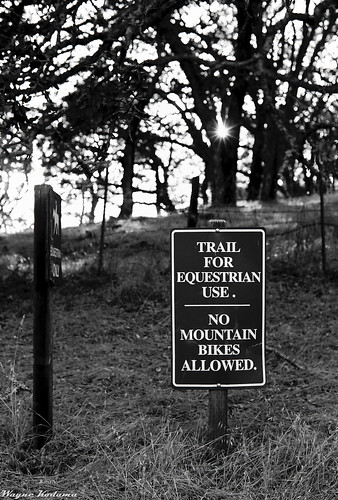 No Mountain Bikes Allowed