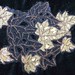 ivy_leaves_machine_embroidery