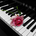 Piano_Rose_by_SnorkleB