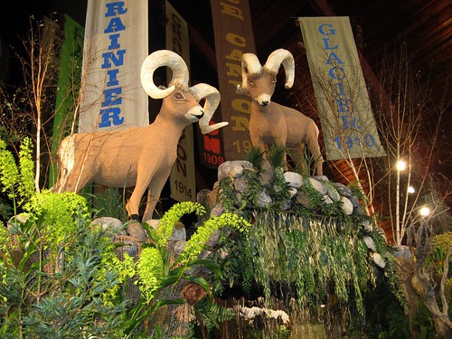 Rams in National parks show