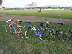 edogawa cycling