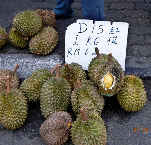 DSCN2134 Durian D-15 ,榴莲