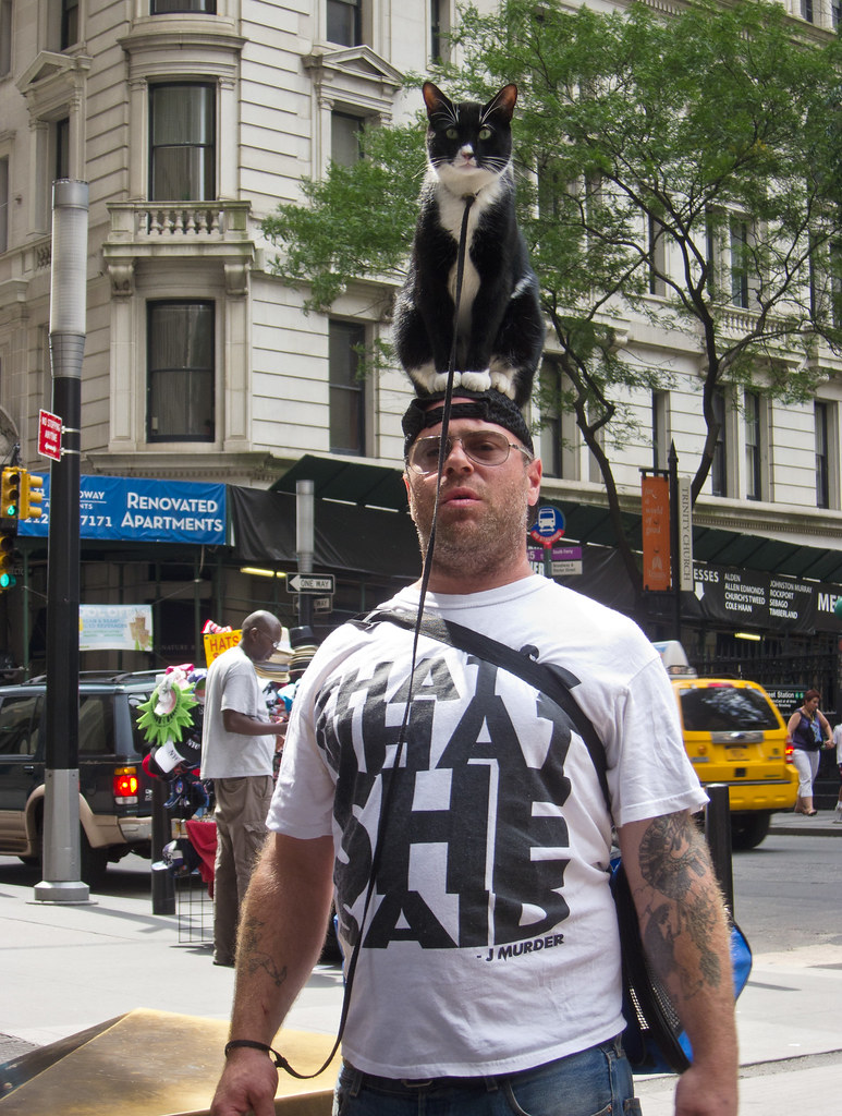 Man With Cat Sitting on Top of His Head in New York City