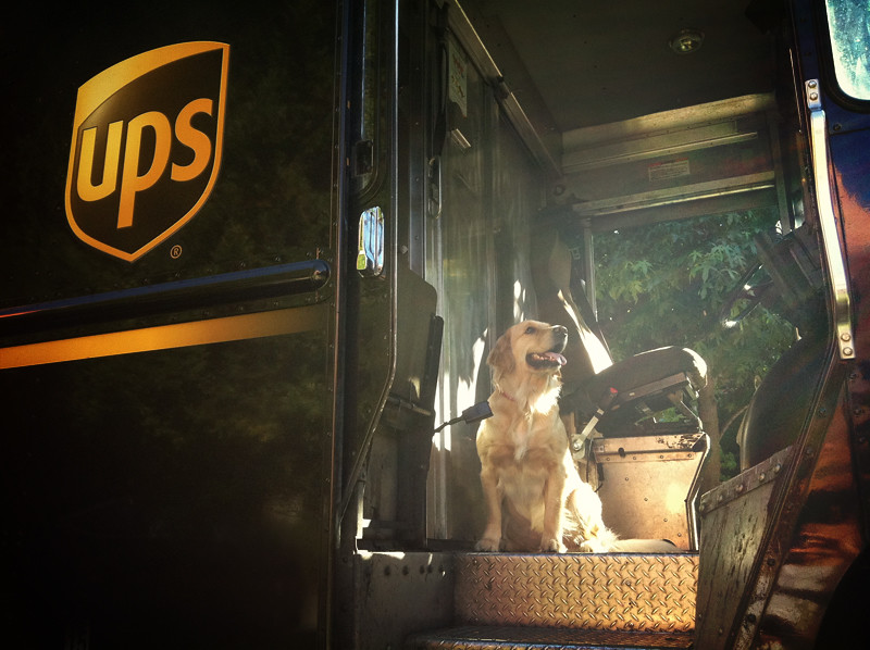 {34/52 2011} UPS, Can You Please Deliver Me To Stanley's House In Time For His Birthday Pawty?