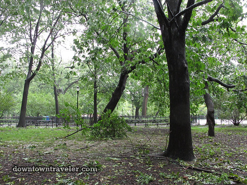 Aftermath of Hurricane Irene in NYC_Tompkins Square Park fallen branches