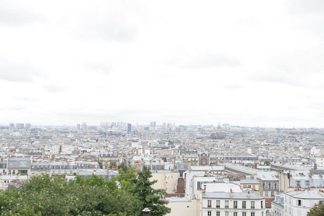 parisian skyline