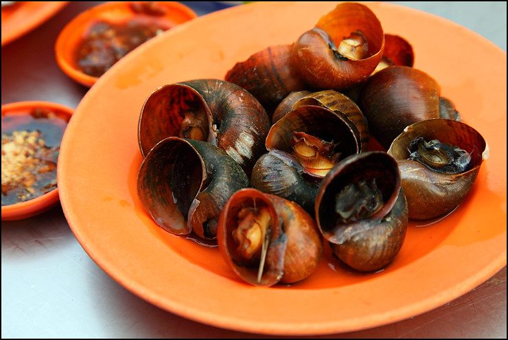 plate-of-snails