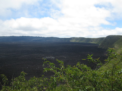 View into the crater of Sierra Negra Volcano on Isabella Island, Galapagos