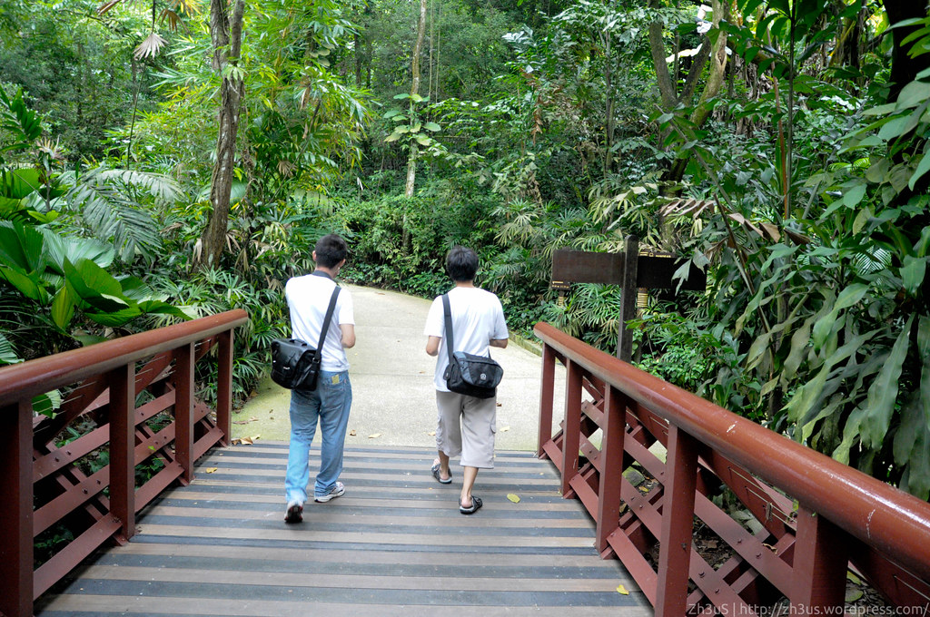 Jurong Birdpark (66 of 89)