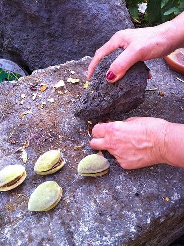 Opening almond shells with a piece of lava from Etna
