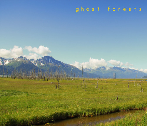 ghost forests
