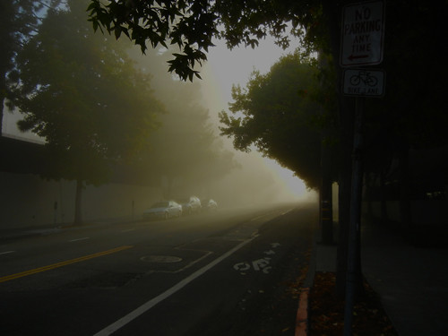 Morning Fog 4733 500