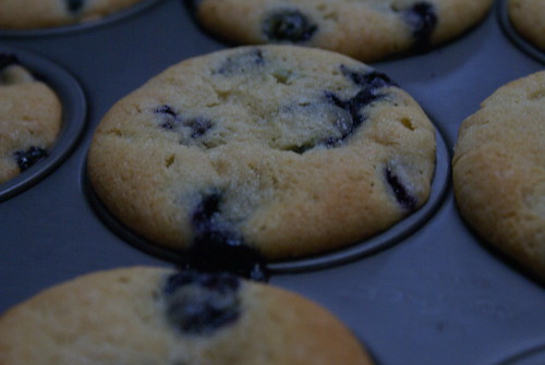 blueberry muffins in bad lighting 
