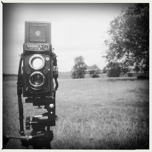 yashica by mdx
