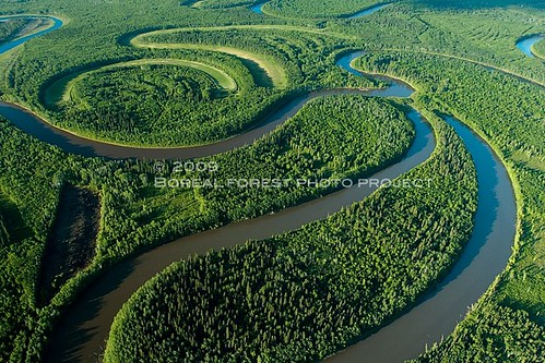 boreal-oxbow-forest-summer-riv-DAN9800-copy
