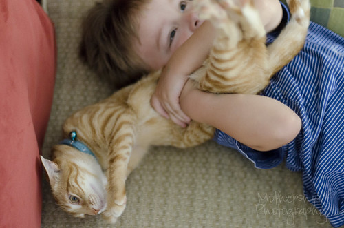 Lucas loves kitty