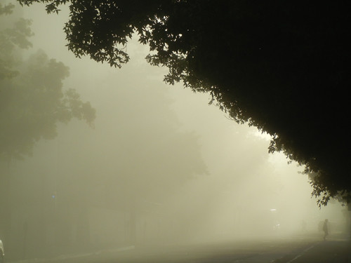 Morning Fog 4734 _ 500